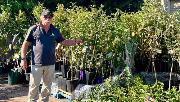 496181188 1326919718859045 4992471400643002548 n